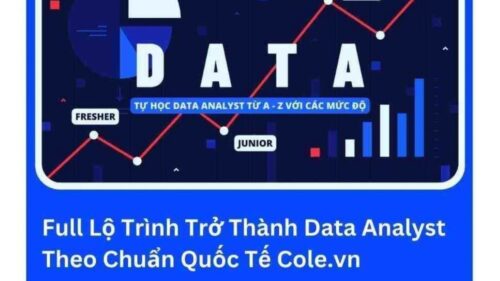 Lộ Trình Trở Thành Data Analyst Theo Chuẩn Quốc Tế Cole.vn