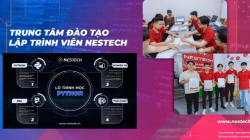 Lộ Trình Đào Tạo Lập Trình Python Tại Nestech Cập Nhật Mới Nhất