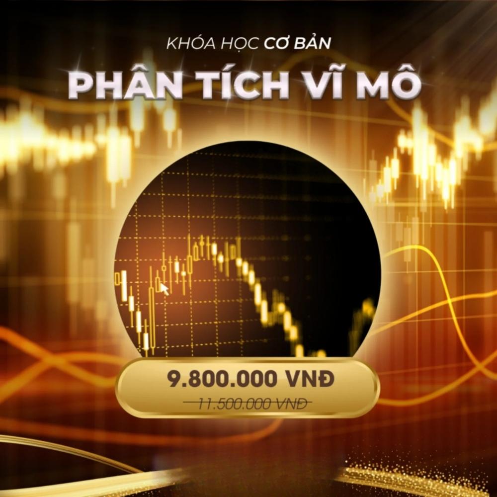 Khoá Học Phân Tích Vĩ Mô Cơ Bản của Kolia Phan Khoa Hoc Phan Tich Vi Mo Co Ban cua Kolia Phan