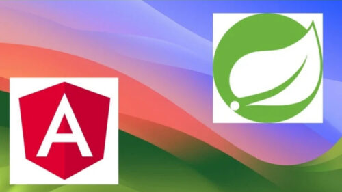 Viết Ứng Dụng Bán Hàng Với Java Springboot/API Và Angular (23 Giờ)