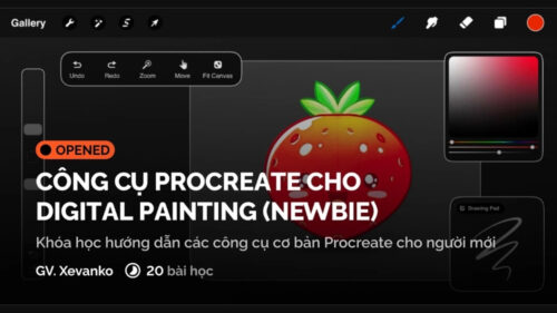 Công Cụ Procreate Cho Người Mới DigiArt Academy