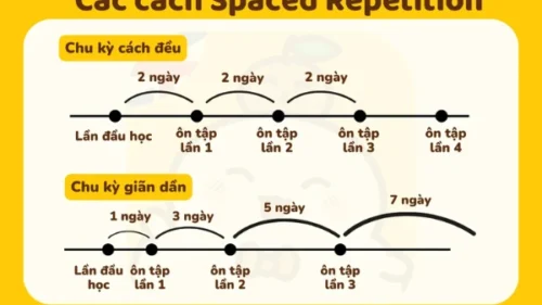 English Vocabulary Học Từ Vựng Lặp Lại Ngắt Quãng | Snow Dang Tuyet